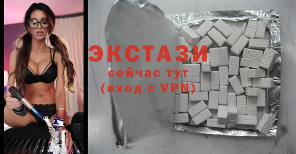 молекула духа Богданович