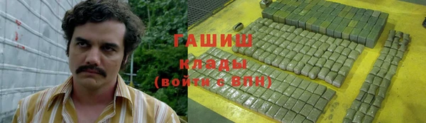 молекула духа Богданович