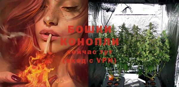 молекула духа Богданович