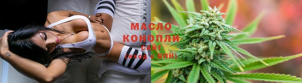 молекула духа Богданович
