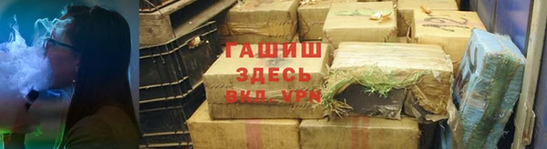 молекула духа Богданович