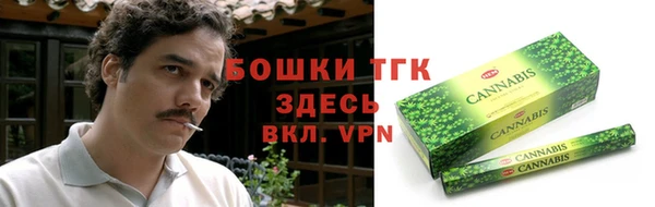 крисы Богородск