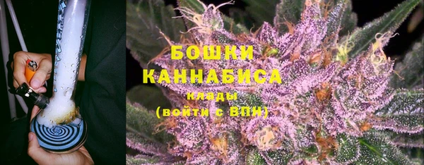 молекула духа Богданович