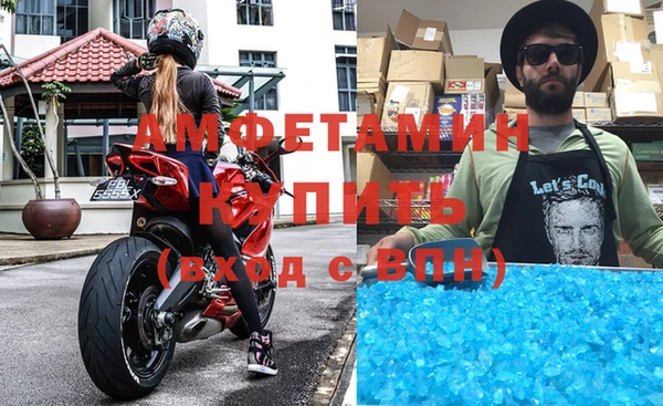молекула духа Богданович