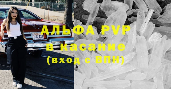 молекула духа Богданович