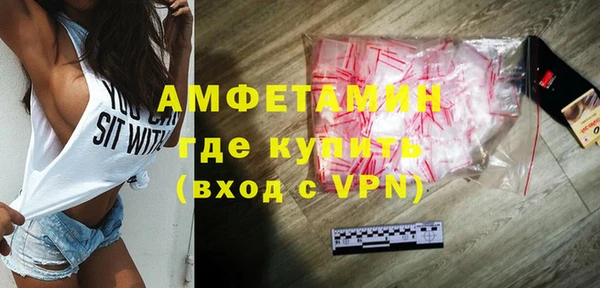 молекула духа Богданович