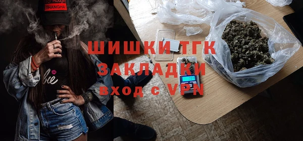 молекула духа Богданович