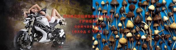молекула духа Богданович