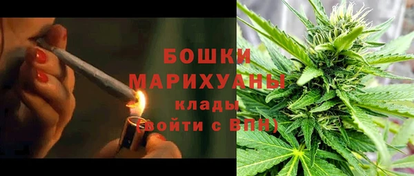 молекула духа Богданович